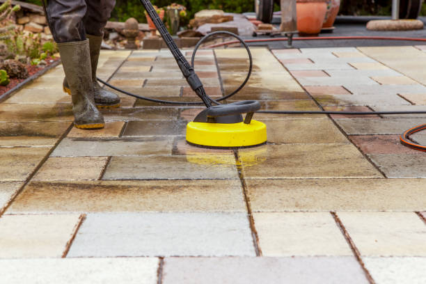 Best Winterizing Services  in Catonsville, MD